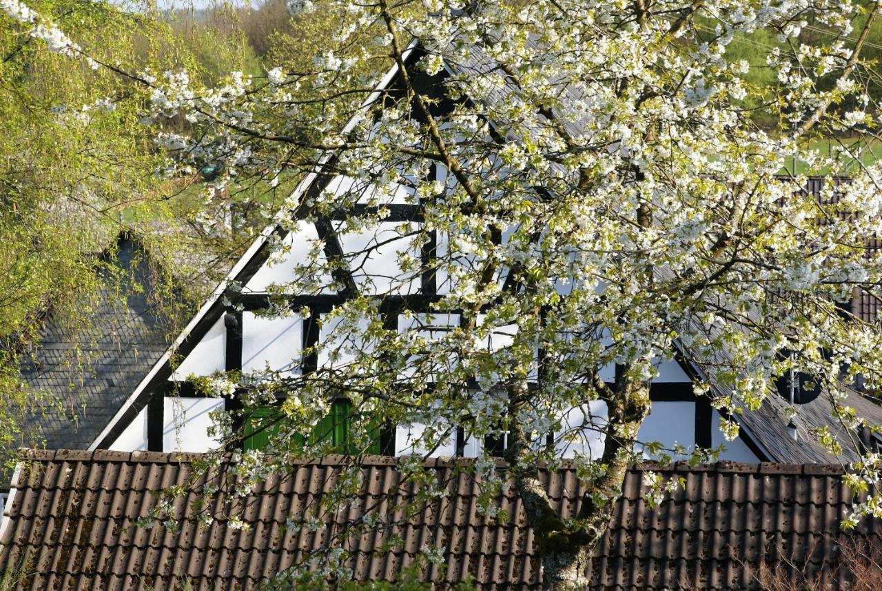 Gasthof Schumacher Hotel Garni ฟรอยเดนแบร์ก ภายนอก รูปภาพ